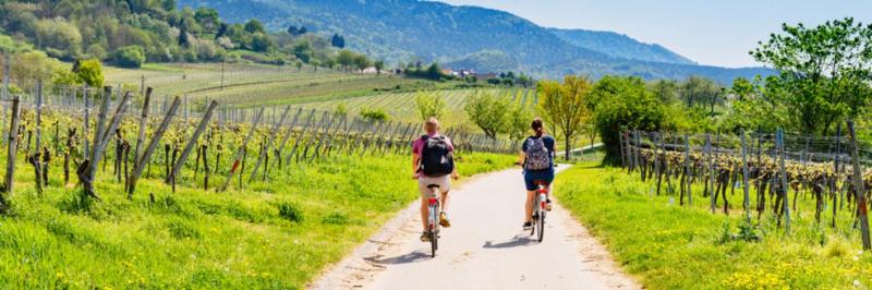 Les crit&egrave;res essentiels pour choisir un v&eacute;lo de route performant