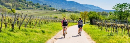 Les crit&egrave;res essentiels pour choisir un v&eacute;lo de route performant